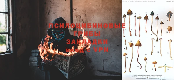 тгк Ладушкин