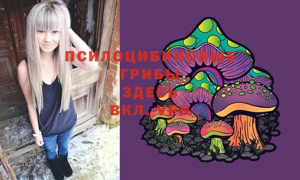 МДПВ Лабытнанги