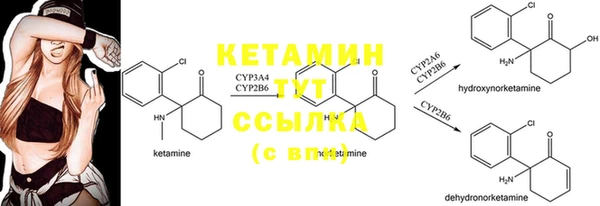 тгк Ладушкин