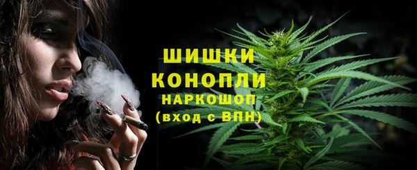 тгк Ладушкин