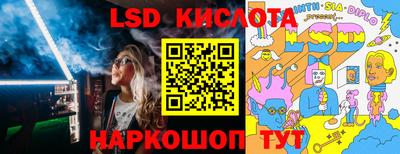 спиды Кингисепп