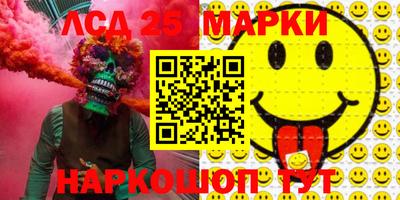 спиды Кингисепп