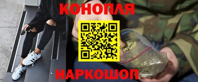 спиды Кингисепп