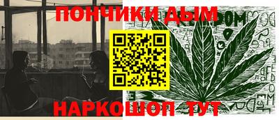 спиды Кингисепп