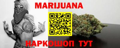 спиды Кингисепп