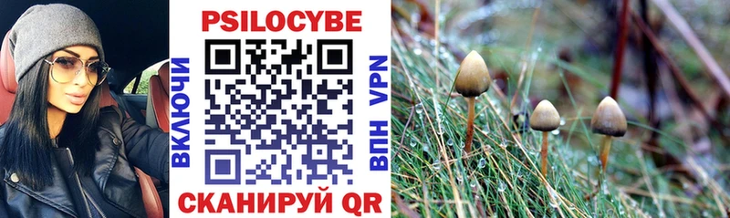 blacksprut ссылки  Феодосия  Псилоцибиновые грибы GOLDEN TEACHER 