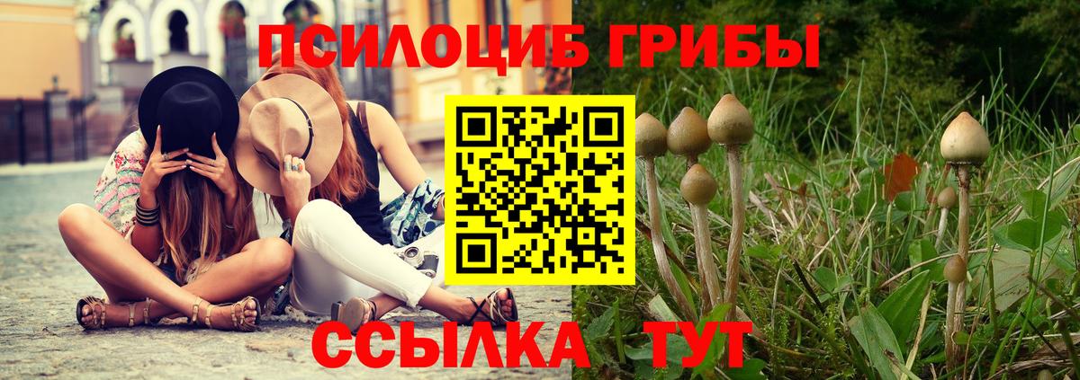 Феодосия  Галлюциногенные грибы мицелий  Вход с VPN 