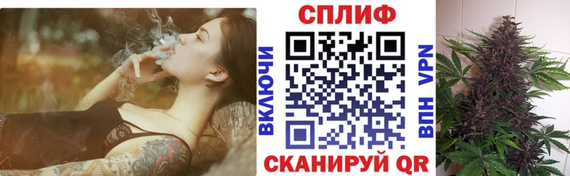 наркота  Феодосия  гидра как зайти  Шишки марихуана ГИДРОПОН 